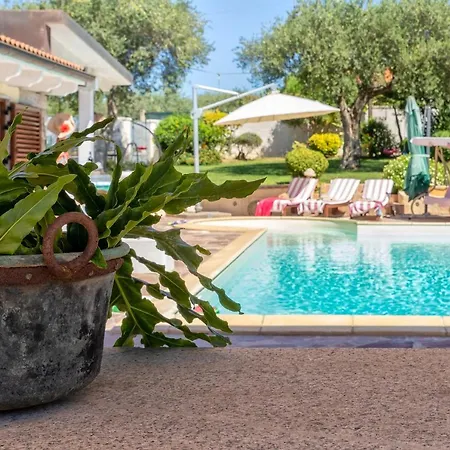 Sunflower Villa